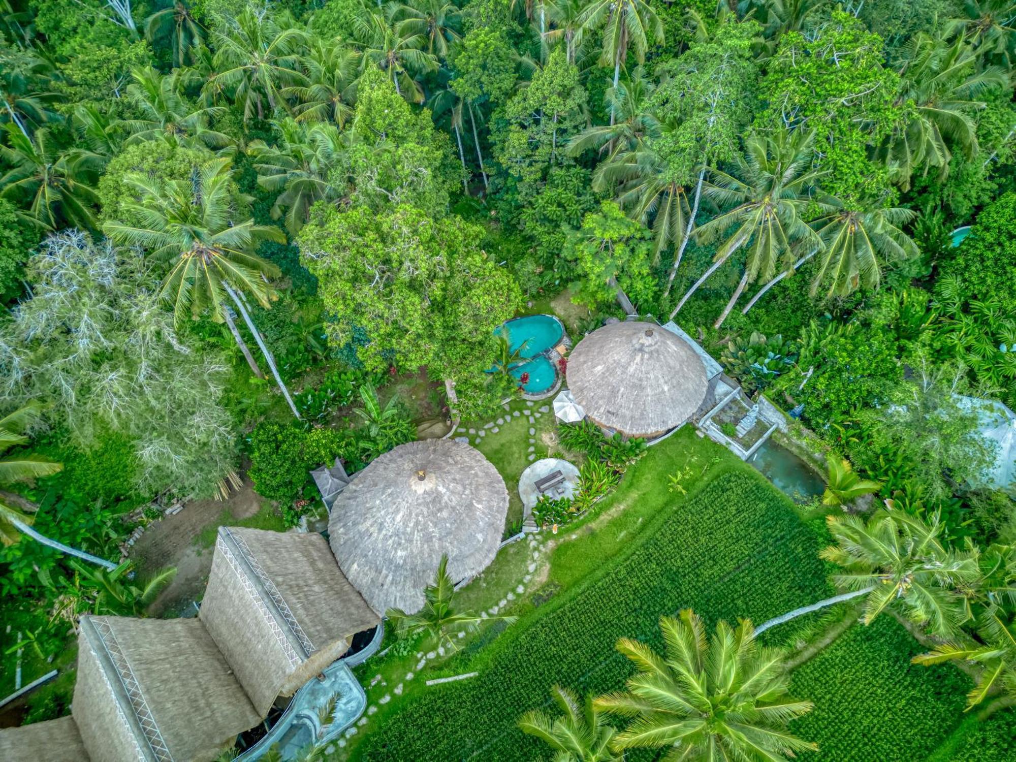 Bamboo Cabin Sanctuary By Nusantara Hospitality Ubud Extérieur photo